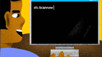 sfc /scannow