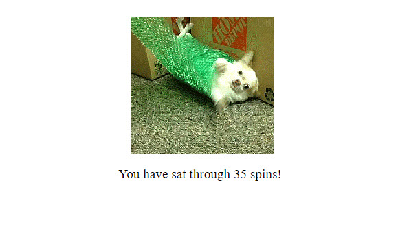 ChihuahuaSpin